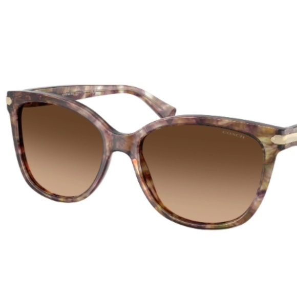 Coach Cat Eye Sunglasses - Picture 3 of 5